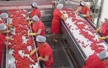 2020年农村创业新机遇 探索勾花网的致富之路