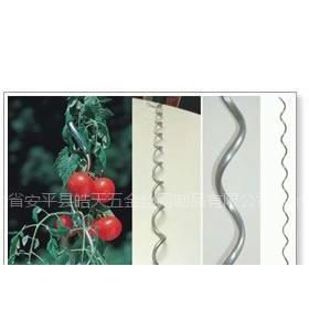 电焊网 打造坚固耐用的番茄植物支架