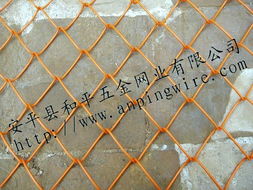 优质勾花网与电焊网供应商 打造坚固防护，成就景观之美