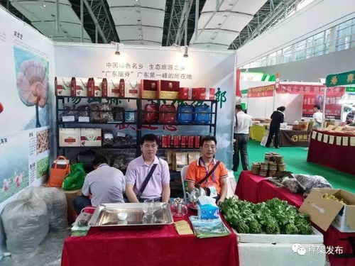 秤架农副产品闪耀广州博览会，电焊网助力乡村振兴